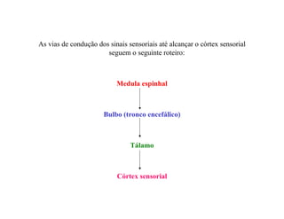 As vias de condução dos sinais sensoriais até alcançar o córtex sensorial
seguem o seguinte roteiro:
Medula espinhal
Bulbo (tronco encefálico)
Tálamo
Córtex sensorial
 