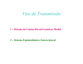 Vias de Transmissão
1 – Sistema da Coluna Dorsal-Lemnisco Medial
2 – Sistema Espinotalâmico Ântero-lateral
 
