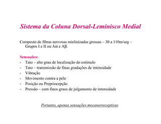 Sistema da Coluna Dorsal-Leminisco Medial
Composto de fibras nervosas mielinizadas grossas – 30 a 110m/seg –
Grupos I e II ou Aα e Aβ.
Sensações:
- Tato – alto grau de localização do estímulo
- Tato – transmissão de finas gradações de intensidade
- Vibração
- Movimento contra a pele
- Posição ou Propriocepção
- Pressão – com finos graus de julgamento de intensidade
Portanto, apenas sensações mecanorreceptivas
 