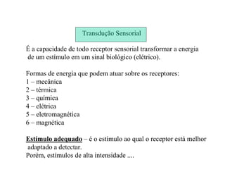 Transdução Sensorial
É a capacidade de todo receptor sensorial transformar a energia
de um estímulo em um sinal biológico (elétrico).
Formas de energia que podem atuar sobre os receptores:
1 – mecânica
2 – térmica
3 – química
4 – elétrica
5 – eletromagnética
6 – magnética
Estímulo adequado – é o estímulo ao qual o receptor está melhor
adaptado a detectar.
Porém, estímulos de alta intensidade ....
 