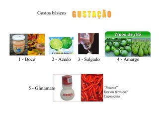 1 - Doce 2 - Azedo 3 - Salgado 4 - Amargo
5 - Glutamato “Picante”
Dor ou térmico?
Capsaicina
Gostos básicos
 