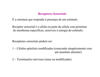 Receptores Sensoriais
É a estrutura que responde à presença de um estímulo.
Receptor sensorial é a célula ou parte da célu...