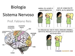 Biologia Sistema Nervoso Prof. Fabiano Reis 