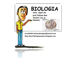 Email/MSN: fabianobiologico@hotmail.comBlog: http://biologiaquepariu.blogspot.com