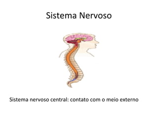 Sistema Nervoso

Sistema nervoso central: contato com o meio externo

 