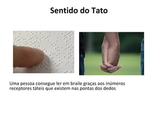 Sentido do Tato

Uma pessoa consegue ler em braile graças aos inúmeros
receptores táteis que existem nas pontas dos dedos

 