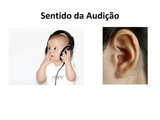 Sentido da Audição

 