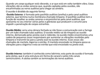 Quando um corpo qualquer está vibrando, o ar que está em volta também vibra. Estas
vibrações são as ondas sonoras que, quando captadas pelos ouvidos, são
encaminhadas ao nervo auditivo para chegar ao cérebro.
O ouvido é dividido da seguinte forma:
Ouvido Externo: é formado pelo pavilhão auditivo (orelha) e pelo canal auditivo
externo, que termina numa membrana chamada tímpano. O pavilhão auditivo tem a
função de recolher as ondas sonoras e encaminhá-las pelo canal auditivo, que
apresenta no seu interior vários pelos e glândulas que produzem o cerume para
impedir a penetração de corpos estranhos.
Ouvido Médio: seria uma câmara fechada se não fosse a comunicação com a faringe
por um tubo chamado tuba auditiva. O ouvido médio vai do tímpano ao ouvido
interno, demarcado pelas janelas oval e redonda; no ouvido médio encontramos uma
cadeia de pequenos ossos responsáveis por aumentar as vibrações recebidas pelo
tímpano e transmiti-las para a janela oval no ouvido interno. Esses ossos são
chamados de martelo, bigorna e estribo. O martelo encostado no tímpano passa as
vibrações para a bigorna e esta ao estribo que está encostado na janela oval.
Ouvido Interno: também é conhecido como labirinto; esta parte do ouvido é formada
pela cóclea, que é uma estrutura em forma de caracol e pelos três canais
semicirculares. A cóclea contém as terminações do nervo auditivo.

 