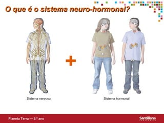 O que é o sistema neuro-hormonal? + Sistema nervoso Sistema hormonal Planeta Terra — 9.º ano 