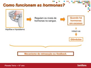 Hipófise e hipotálamo Regulam os níveis de hormonas no sangue. Quando há hormonas em excesso Glândulas Mecanismo de retroacção ou  feedback . Como funcionam as hormonas? Planeta Terra — 9.º ano inibem as 