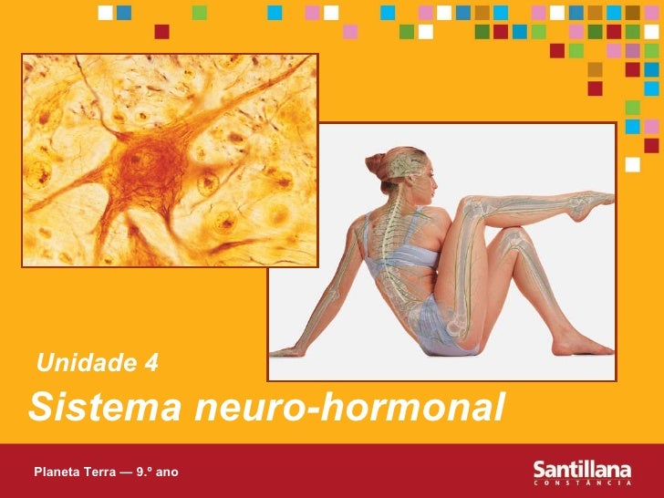Sistema neuro-hormonal Unidade 4 Planeta Terra — 9.º ano 