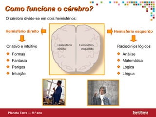 Como funciona o cérebro? O cérebro divide-se em dois hemisférios: Hemisfério direito Hemisfério esquerdo Criativo e intuitivo Raciocínios lógicos Planeta Terra — 9.º ano Formas Fantasia Perigos Intuição Análise Matemática Lógica Língua 