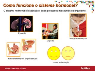 Como funciona o sistema hormonal? O sistema hormonal é responsável pelos processos mais lentos do organismo. Funcionamento dos órgãos sexuais Digestão Temperatura corporal Humor e disposição Excreção Planeta Terra — 9.º ano 