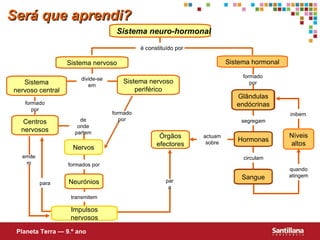 Será que aprendi? Sistema neuro-hormonal Sistema nervoso Sistema hormonal Sistema nervoso central Centros nervosos Sistema nervoso periférico Níveis altos Neurónios Órgãos efectores Nervos Impulsos nervosos Glândulas endócrinas Sangue Hormonas Planeta Terra — 9.º ano é constituído por formado por divide-se em formado por segregam circulam quando atingem inibem formados por actuam sobre de onde partem transmitem emitem para formado por para 