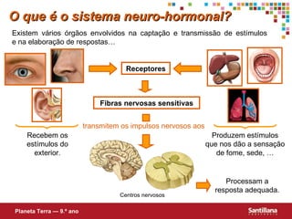 Existem vários órgãos envolvidos na captação e transmissão de estímulos  e na elaboração de respostas… Receptores Recebem os estímulos do exterior. Produzem estímulos que nos dão a sensação de fome, sede, … Fibras nervosas sensitivas Centros nervosos Processam a resposta adequada. O que é o sistema neuro-hormonal? Planeta Terra — 9.º ano transmitem os impulsos nervosos aos 