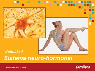 Sistema neuro-hormonal Unidade 4 Planeta Terra — 9.º ano 