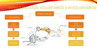ESTÍMULOS: ATOS VOLUNTÁRIOS E INVOLUNTÁRIOS
Sistema Nervoso
InconscienteConsciente
Atos
Voluntários
Centro de
Resposta
Encéfalo
Atos
Involuntários
Centro de
Resposta
Encéfalo e
Medula Espinal
 