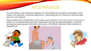 ATOS REFLEXOS
Os atos reflexos são respostas rápidas e involuntárias que ajudam a proteger nosso
corpo. Por exemplo , quando espirramos , pestanejamos ou tiramos a mão de algo
que nos vai magoar.
Estes podem ser classificados com inatos, que nascem com o ser vivo e é comum a
todos, ou condicionados que são adquiridos através da aprendizagem, variando
de pessoa para pessoa. Durante o processo o Encéfalo intervêm memorizando a
experiência
 