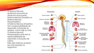 SISTEMA NERVOSO AUTÓNOMO: SIMPÁTICO E PARASSIMPÁTICO
O Sistema Nervoso
Autónomo encontra-se
divido em duas partes:
Sistema Nervoso Simpático e
Sistema Nervoso
Parassimpático.
O Sistema Nervoso Simpático
tem a responsabilidade de
responder a situações se
estresse, como fugir ou lutar.
O Sistema Nervoso
Parassimpático este tem a
responsabilidade de
responder a situações de
calma.
Estes dois sistemas acabam
por criar reações no
organismo:
 