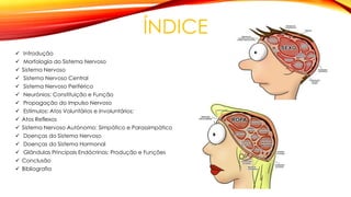 ÍNDICE
 Introdução
 Morfologia do Sistema Nervoso
 Sistema Nervoso
 Sistema Nervoso Central
 Sistema Nervoso Periférico
 Neurónios: Constituição e Função
 Propagação do Impulso Nervoso
 Estímulos: Atos Voluntários e Involuntários;
 Atos Reflexos
 Sistema Nervoso Autónomo: Simpático e Parassimpático
 Doenças do Sistema Nervoso
 Doenças do Sistema Hormonal
 Glândulas Principais Endócrinas: Produção e Funções
 Conclusão
 Bibliografia
 
