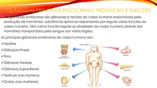 GLÂNDULAS PRINCIPAIS ENDÓCRINAS: PRODUÇÃO E FUNÇÕES
As glândulas endócrinas são glândulas e tecidos do corpo humano respon...