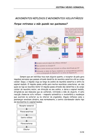 SISTEMA NEURO-HORMONAL

MOVIMENTOS REFLEXOS E MOVIMENTOS VOLUNTÁRIOS
Porque retiramos a mão quando nos queimamos?

Sempre que um indivíduo toca num objecto quente, o receptor da pele gera
impulsos nervosos que passam através dendrite do neurónio sensitivo até ao corpo
celular. Daqui, o impulso viaja ao longo do axónio do neurónio sensitivo e entra na
espinal medula. O impulso passa então para muitos neurónios conectores, um dos
quais se liga ao neurónio motor O impulso passa através das dendrites e do corpo
celular do neurónio motor, em direcção ao seu axónio, e deixa a espinal medula,
dirigindo-se aos músculos que se contarem, retirando a mão do objecto. A esta
reacção chama-se acto reflexo – resposta automática e involuntária a mudanças
que ocorrem no exterior ou no interior do organismo. Alguns reflexos como o
pestanejar envolvem cérebro, mas normalmente, o centro coordenador deste tipo
de movimentos é a espinal medula.
Receptor sensorial

Fibras sensitivas

Centro reflexo

Fibras motoras

Efector
11/18

 