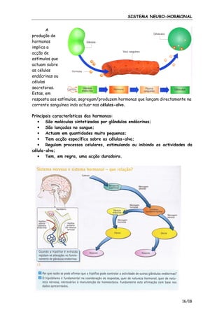SISTEMA NEURO-HORMONAL
A
produção de
hormonas
implica a
acção de
estímulos que
actuam sobre
as células
endócrinas ou
células
secretoras.
Estas, em
resposta aos estímulos, segregam/produzem hormonas que lançam directamente na
corrente sanguínea indo actuar nas células-alvo.
Principais características das hormonas:
• São moléculas sintetizadas por glândulas endócrinas;
• São lançadas no sangue;
• Actuam em quantidades muito pequenas;
• Tem acção específica sobre as células-alvo;
• Regulam processos celulares, estimulando ou inibindo as actividades da
célula-alvo;
• Tem, em regra, uma acção duradoira.

16/18

 