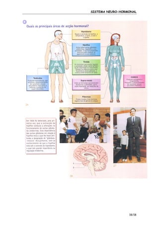 SISTEMA NEURO-HORMONAL

18/18

 
