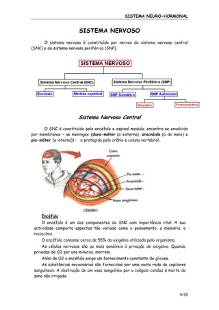 SISTEMA NEURO-HORMONAL

SISTEMA NERVOSO
O sistema nervoso é constituído por nervos do sistema nervoso central
(SNC) e do sistema nervoso periférico (SNP).

Sistema Nervoso Central
O SNC é constituído pelo encéfalo e espinal-medula; encontra-se envolvido
por membranas – as meninges (dura-máter (a externa), aracnóide (a do meio) e
pia-máter (a interna)) - e protegido pelo crânio e coluna vertebral.

Encéfalo
O encéfalo é um dos componentes do SNC com importância vital. A sua
actividade comporta aspectos tão variado como o pensamento, a memória, o
raciocínio….
O encéfalo consome cerca de 55% do oxigénio utilizado pelo organismo.
As células nervosas são ao mais sensíveis à privação de oxigénio. Quando
privadas de O2 por uns minutos, morrem.
Além de O2 o encéfalo exige um fornecimento constante de glicose.
As substâncias necessárias são fornecidas por uma vasta rede de capilares
sanguíneos. A obstrução de um vaso sanguíneo por u coágulo conduz à morte da
zona não irrigada.

4/18

 