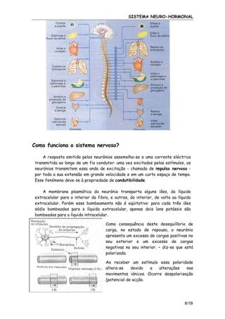 SISTEMA NEURO-HORMONAL

Como funciona o sistema nervoso?
A resposta emitida pelos neurónios assemelha-se a uma corrente eléctrica
transmitida ao longo de um fio condutor: uma vez excitados pelos estímulos, os
neurónios transmitem essa onda de excitação - chamada de impulso nervoso por toda a sua extensão em grande velocidade e em um curto espaço de tempo.
Esse fenómeno deve-se à propriedade de condutibilidade.
A membrana plasmática do neurónio transporta alguns iões, do líquido
extracelular para o interior da fibra, e outros, do interior, de volta ao líquido
extracelular. Porém esse bombeamento não é eqüitativo: para cada três iões
sódio bombeados para o líquido extracelular, apenas dois íons potássio são
bombeados para o líquido intracelular.
Como consequência deste desequilíbrio de
carga, no estado de repouso, o neurónio
apresenta um excesso de cargas positivas no
seu exterior e um excesso de cargas
negativas no seu interior. – diz-se que está
polarizada.
Ao receber um estímulo essa polaridade
altera-se
devido
a
alterações
nos
movimentos iónicos. Ocorre despolarização
(potencial de acção.

8/18

 