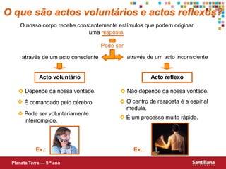 Depende da nossa vontade.Não depende da nossa vontade.O centro de resposta é a espinal medula.É comandado pelo cérebro.Pode ser voluntariamente interrompido.É um processo muito rápido.Pode serO que são actos voluntários e actos reflexos?O nosso corpo recebe constantemente estímulos que podem originar uma resposta.através de um acto inconscienteatravés de um acto conscienteActo reflexoActo voluntárioEx.:Ex.:Planeta Terra — 9.º ano