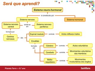 é constituído pordivide-se emformado porcontrolasãocontrolaformado porcontrolacontrolaSerá que aprendi?Sistemaneuro-hormonalSistema nervosoSistema hormonalSistema nervoso centralSistema nervoso periféricoEspinal medulaActos reflexos inatosCentros nervososEncéfaloCérebroActos voluntáriosMovimentos voluntários dos membrosCerebeloMovimentos involuntários dos órgãosBolbo raquidianoPlaneta Terra — 9.º ano