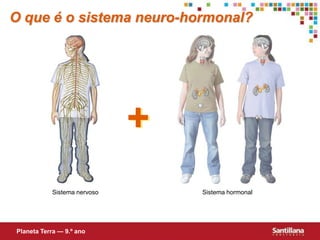 O que é o sistema neuro-hormonal?+Sistema nervosoSistema hormonalPlaneta Terra — 9.º ano