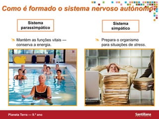    Prepara o organismo   para situações de stress.Mantém as funções vitais — conserva a energia.Como é formado o sistema nervoso autónomo?Sistema parassimpáticoSistema simpáticoPlaneta Terra — 9.º ano