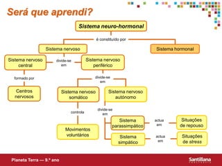 é constituído pordivide-se emdivide-se emformado pordivide-se emcontrolaactua emactua emSerá que aprendi?Sistemaneuro-hormonalSistema hormonalSistema nervosoSistema nervoso periféricoSistema nervoso centralCentros nervososSistema nervoso autónomoSistema nervoso somáticoSituações de repousoSistemaparassimpáticoMovimentos voluntáriosSituações de stressSistemasimpáticoPlaneta Terra — 9.º ano