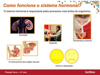 Como funciona o sistema hormonal?O sistema hormonal é responsável pelos processos mais lentos do organismo.ExcreçãoTemperatura corporalDigestãoFuncionamento dos órgãos sexuaisHumor e disposiçãoPlaneta Terra — 9.º ano