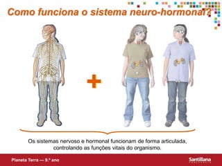 Como funciona o sistema neuro-hormonal?+Os sistemas nervoso e hormonal funcionam de forma articulada, controlando as funções vitais do organismo.Planeta Terra — 9.º ano