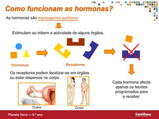 OvárioCorpoComo funcionam as hormonas?As hormonas são mensageiros químicos.Estimulam ou inibem a actividade de alguns órgãos.ReceptoresHormonasOs receptores podem localizar-se em órgãos ou estar dispersos no corpo.Cada hormona afecta apenas os tecidos programados para a receber.Planeta Terra — 9.º ano