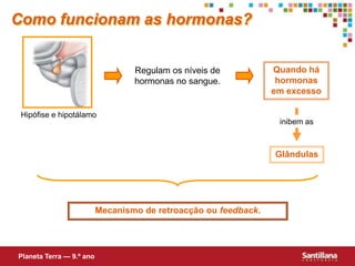 inibem asComo funcionam as hormonas?Quando há hormonas em excessoRegulam os níveis de hormonas no sangue.Hipófise e hipotálamoGlândulasMecanismo de retroacção ou feedback.Planeta Terra — 9.º ano