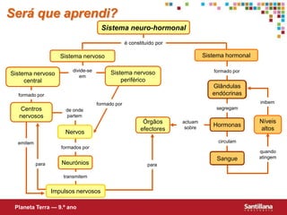 é constituído pordivide-se emformado porformado porinibemformado porsegregamde onde partemactuam sobrecirculamemitemformados porquando atingemparaparatransmitemSerá que aprendi?Sistema neuro-hormonalSistema hormonalSistema nervosoSistema nervoso periféricoSistema nervoso centralGlândulas endócrinasCentros nervososNíveis altosÓrgãos efectoresHormonasNervosSangueNeuróniosImpulsos nervososPlaneta Terra — 9.º ano