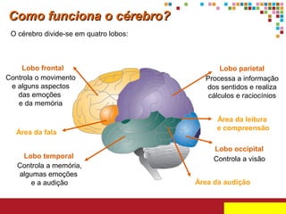 Como funciona o cérebro?
O cérebro divide-se em quatro lobos:

Lobo frontal
Controla o movimento
e alguns aspectos
das emoções
e da memória

Área da fala
Lobo temporal
Controla a memória,
algumas emoções
e a audição

Lobo parietal
Processa a informação
dos sentidos e realiza
cálculos e raciocínios
Área da leitura
e compreensão
Lobo occipital
Controla a visão
Área da audição

 
