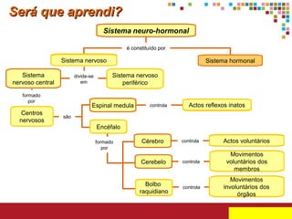 Será que aprendi?
Sistema neuro-hormonal
é constituído por

Sistema nervoso
Sistema
nervoso central

divide-se
em

formado
por

Centros
nervosos

Sistema hormonal
Sistema nervoso
periférico

Espinal medula

controla

Actos reflexos inatos

são

Encéfalo
formado
por

Cérebro
Cerebelo

Bolbo
raquidiano

controla

Actos voluntários

controla

Movimentos
voluntários dos
membros

controla

Movimentos
involuntários dos
órgãos

 