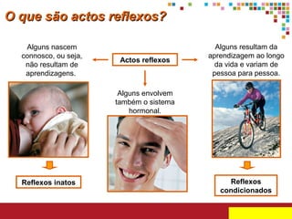 O que são actos reflexos?
Alguns nascem
connosco, ou seja,
não resultam de
aprendizagens.

Actos reflexos

Alguns resultam da
aprendizagem ao longo
da vida e variam de
pessoa para pessoa.

Alguns envolvem
também o sistema
hormonal.

Reflexos inatos

Reflexos
condicionados

 