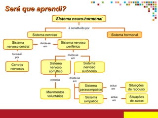 Será que aprendi?
Sistema neuro-hormonal
é constituído por

Sistema nervoso
Sistema
nervoso central

divide-se
em

Sistema hormonal
Sistema nervoso
periférico

formado
por

Centros
nervosos

divide-se
em

Sistema
nervoso
autónomo

Sistema
nervoso
somático
controla

Movimentos
voluntários

divide-se
em

Sistema
parassimpático
Sistema
simpático

actua
em
actua
em

Situações
de repouso
Situações
de stress

 