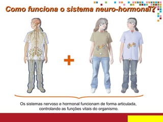 Como funciona o sistema neuro-hormonal?

+
Os sistemas nervoso e hormonal funcionam de forma articulada,
controlando as funções vitais do organismo.

 
