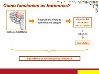 Como funcionam as hormonas?
Regulam os níveis de
hormonas no sangue.

Hipófise e hipotálamo

Quando há
hormonas
em excesso
inibem as

Glândulas

Mecanismo de retroacção ou feedback.

 