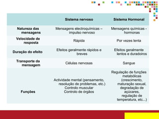 Sistema nervoso

Sistema Hormonal

Natureza das
mensagens

Mensagens electroquímicas –
impulso nervoso

Mensagens químicas hormonas

Velocidade de
resposta

Rápida

Por vezes lenta

Duração do efeito

Efeitos geralmente rápidos e
breves

Transporte da
mensagem

Células nervosas

Sangue

Actividade mental (pensamento,
resolução de problemas, etc.)
Controlo muscular
Controlo de órgãos

Regulação de funções
metabólicas
(crescimento,
maturação sexual,
degradação de
açúcares,
regulação de
temperatura, etc...)

Funções

Efeitos geralmente
lentos e duradoiros

 