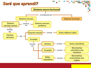 Será que aprendi? Sistema   neuro-hormonal Sistema hormonal Sistema nervoso central Espinal medula Cérebro Cerebelo Actos reflexos inatos Centros nervosos Bolbo  raquidiano Actos voluntários Movimentos voluntários dos membros Movimentos involuntários dos órgãos Sistema nervoso periférico Encéfalo Sistema nervoso é constituído por formado por são controla controla controla controla divide-se em formado por 