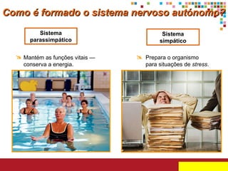 Sistema simpático Sistema parassimpático Como é formado o sistema nervoso autónomo? Prepara o organismo   para situações de  stress .  Mantém as funções vitais — conserva a energia.  