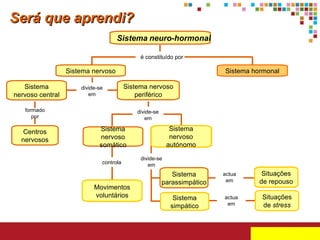 Sistema   neuro-hormonal Sistema hormonal Sistema nervoso central Sistema nervoso Será que aprendi? Centros nervosos Sistema nervoso periférico Sistema nervoso somático Sistema parassimpático Movimentos voluntários Sistema nervoso autónomo Situações de repouso Situações de  stress Sistema simpático é constituído por divide-se em formado por controla divide-se em actua em actua em divide-se em 